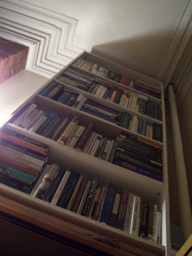 Scholar’s Eye View