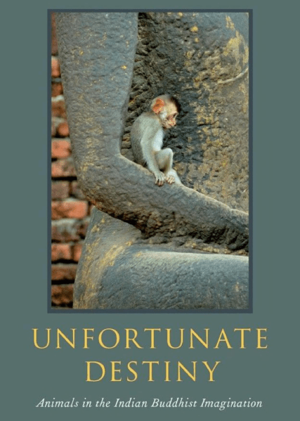 Screen Shot 2019-11-19 at 11.47.42 AM